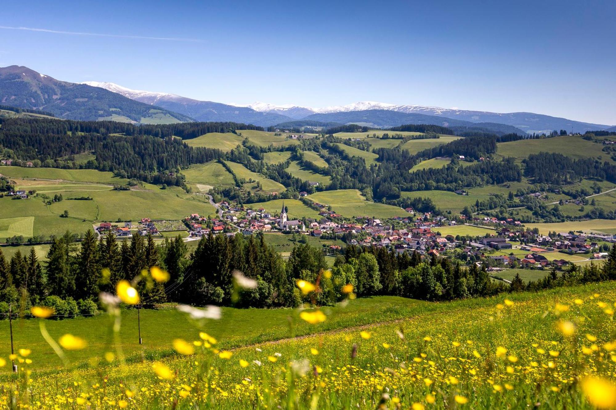 Naturpark Chalets Lambrecht By Alps Resorts Sankt Lambrecht Luaran gambar